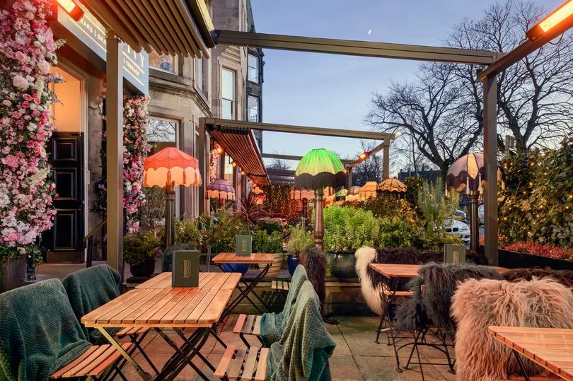 black ivy terrace