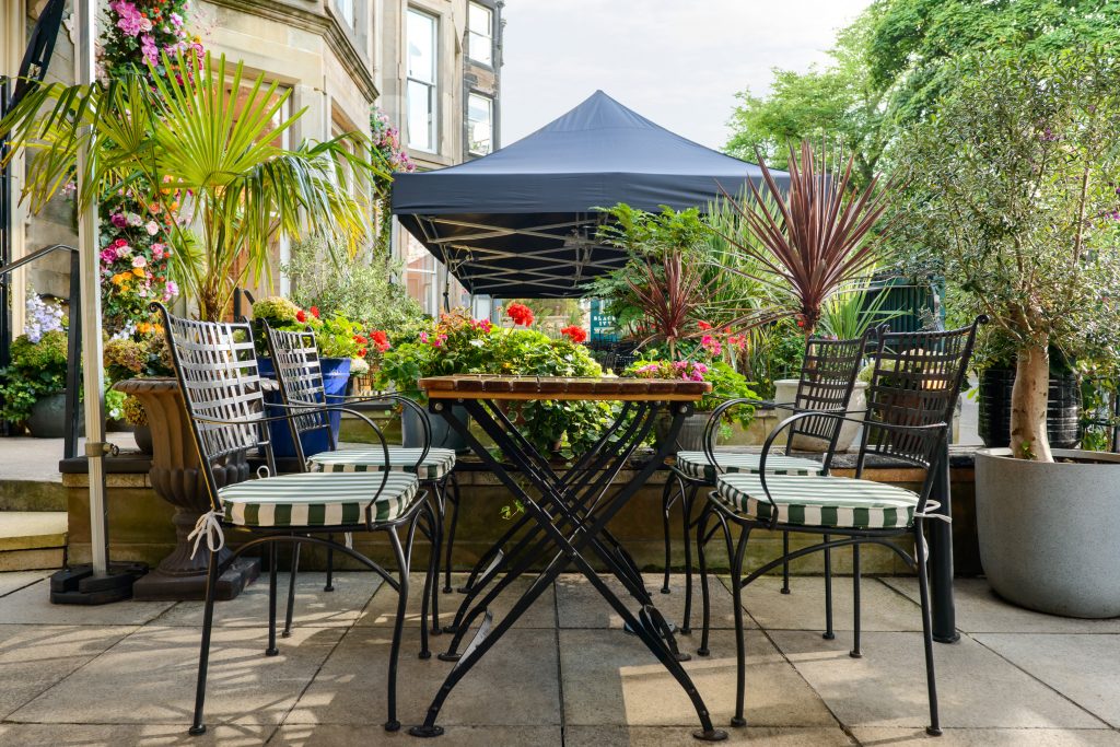 Black Ivy outdoor Terrace in Bruntsfield