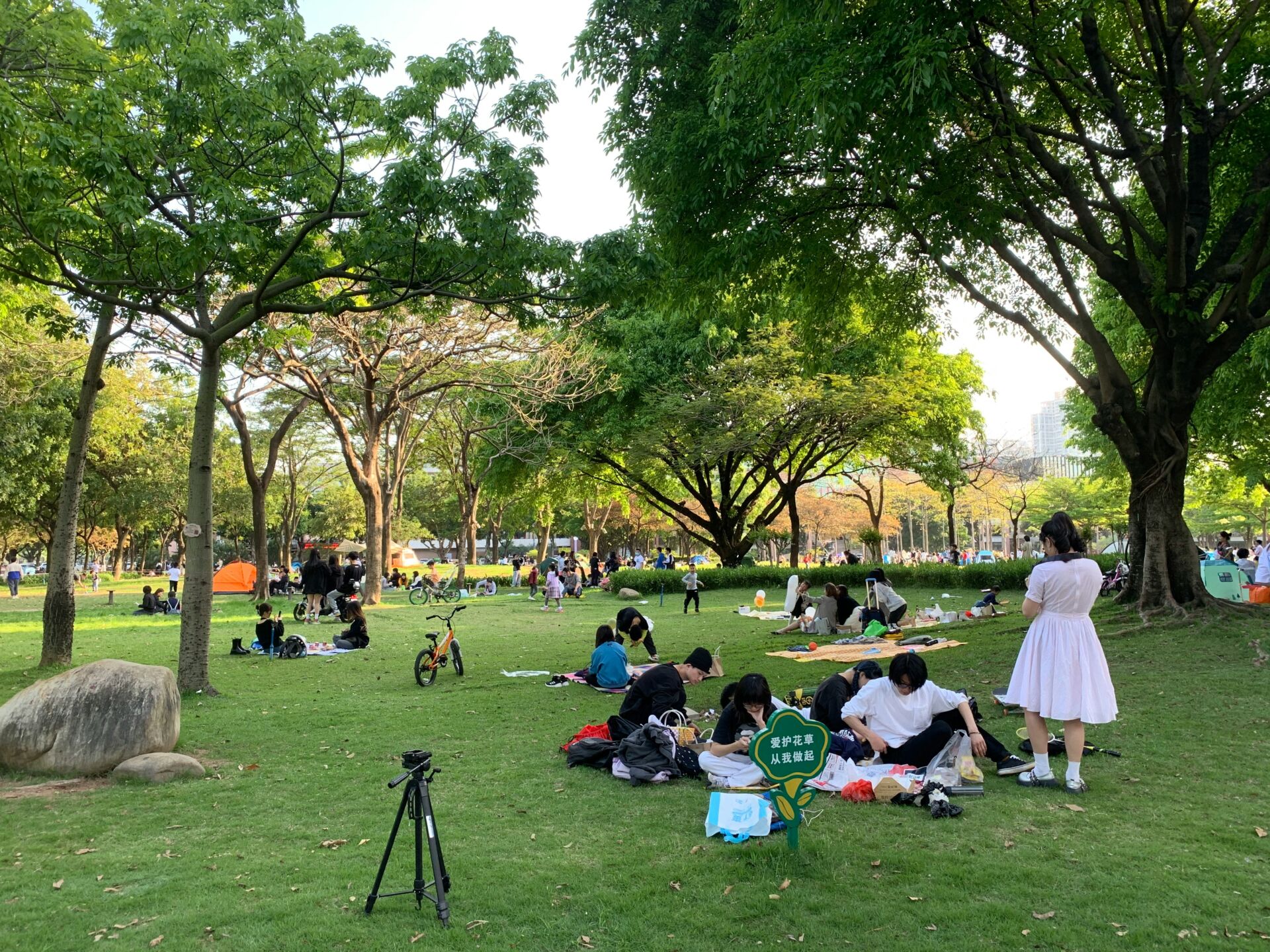people in the park